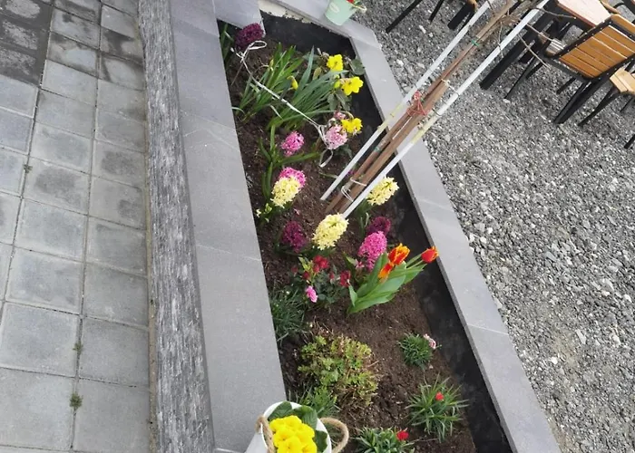 Pensiune/bistro Anne Marie Gasthuis Techirghiol